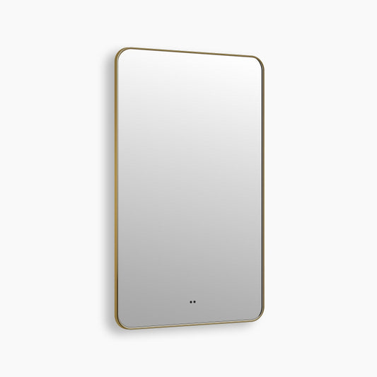 Delphinus Rectangle LED Bathroom Mirror with Lights, Brushed Blonde Metal Framed LED Mirror for Bathroom, 3 Colors and Stepless Dimmable, Anti-Fog