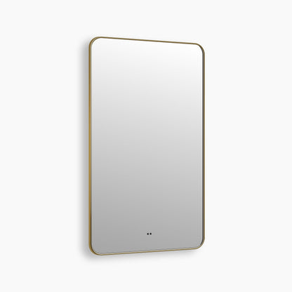Delphinus Rectangle LED Bathroom Mirror with Lights, Brushed Blonde Metal Framed LED Mirror for Bathroom, 3 Colors and Stepless Dimmable, Anti-Fog
