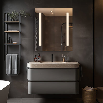 Mirrorons Medicine Cabinet with LED Lights, Rectangle, 25 x 28 Inch, Defogger, 3-Color Mode, Dimmer, Silver Gray