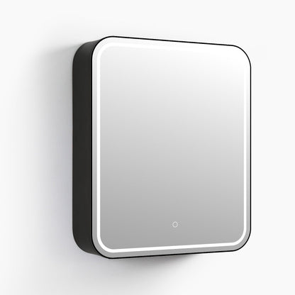 Mirrorons Medicine Cabinet with LED Lights, Rectangle, 24 x 28 Inch, Defogger, 3-Color Mode, Dimmer, Matte Black